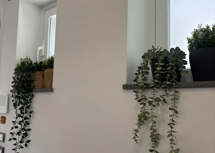 Cortiletto Pavone A Lejlighed