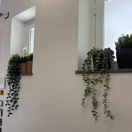 Cortiletto Pavone A *