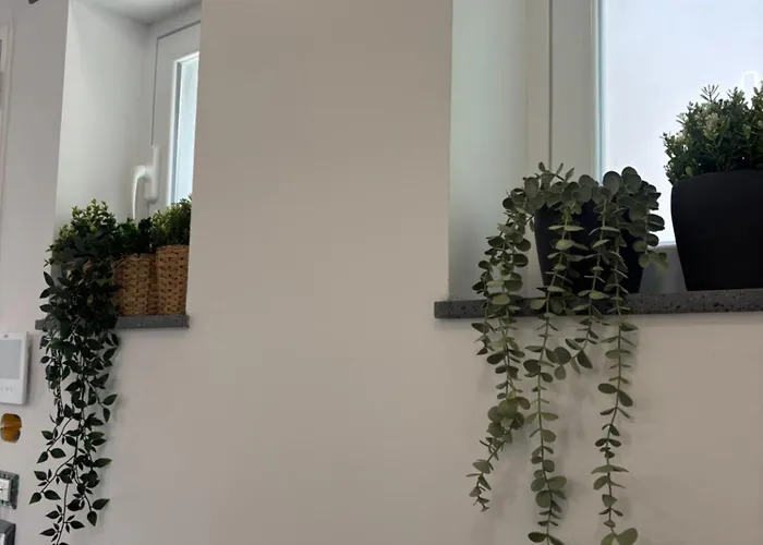 Cortiletto Pavone A *